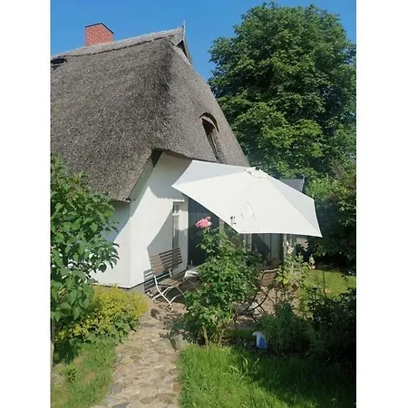 Fischerhaus - Olyv