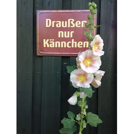 Fischerhaus - Olyv 아파트