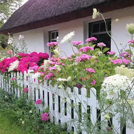 Fischerhaus - Olyv 아파트 Neeberg
